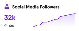 Social Media Followers Sample Chart